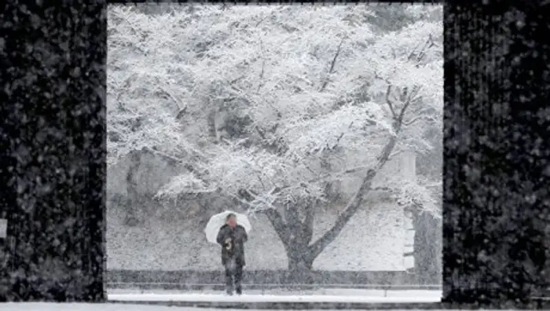 В Японии более 250 человек пострадали из-за снегопада