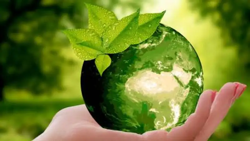 35 млрд выделено на улучшение экологической ситуации в ВКО