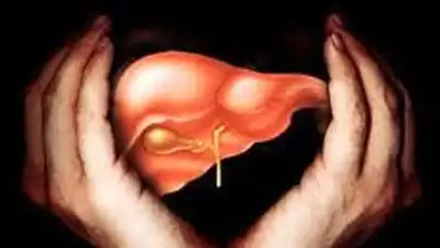 Zakon.kz, фото - Новости Zakon.kz от 28.12.2013 21:30