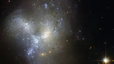 Zakon.kz, фото - Новости Zakon.kz от 01.02.2016 21:09