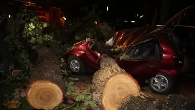 Zakon.kz, фото - Новости Zakon.kz от 02.07.2016 14:55