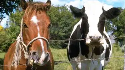 Zakon.kz, фото - Новости Zakon.kz от 01.11.2014 00:01