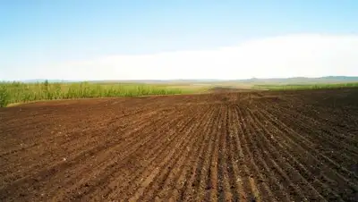 Zakon.kz, фото - Новости Zakon.kz от 20.07.2017 18:36