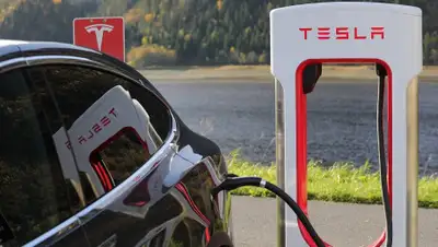 Pixabay, фото - Новости Zakon.kz от 14.07.2020 18:17