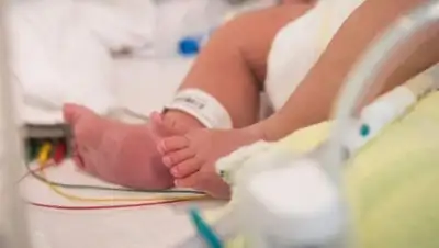 inform.kz , фото - Новости Zakon.kz от 22.05.2018 23:50