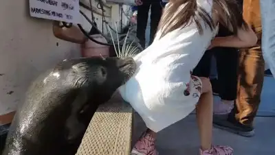 Zakon.kz, фото - Новости Zakon.kz от 22.05.2017 01:47