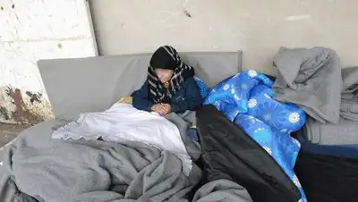 Zakon.kz, фото - Новости Zakon.kz от 30.12.2016 04:12