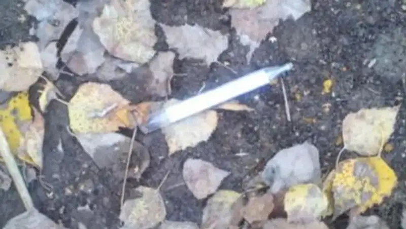 «Черные» старатели могут устроить в ВКО экологическую катастрофу