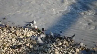 Zakon.kz, фото - Новости Zakon.kz от 27.05.2016 15:49