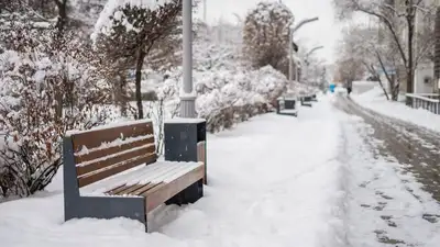 снег ожидается в алматы, фото - Новости Zakon.kz от 03.02.2023 16:41