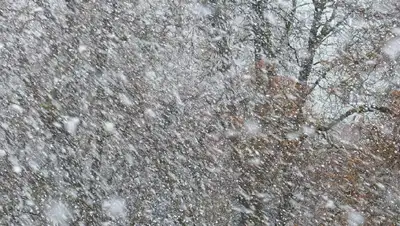 штормовое предупреждение , фото - Новости Zakon.kz от 28.12.2021 17:31