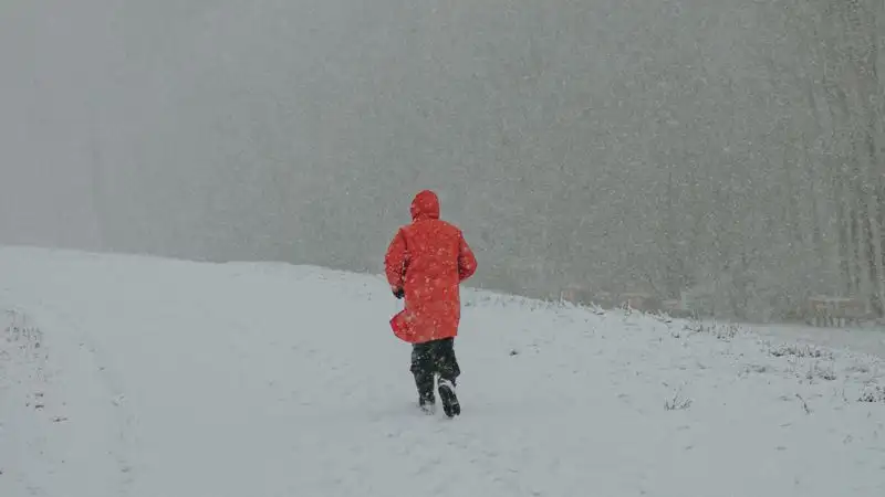 Снег с метелью прогнозируют синоптики на большей части Казахстана в пятницу