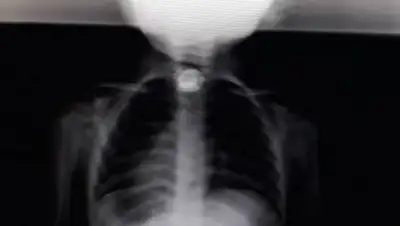 Inaktau.kz, фото - Новости Zakon.kz от 21.03.2019 06:19