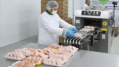 Обеспечит мясом курицы более 100 тыс. чел