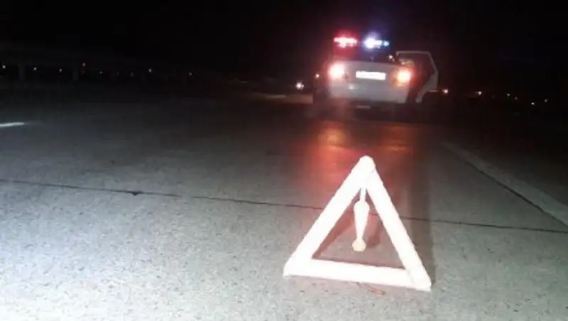 На трассе Алматы-Капшагай насмерть сбили мужчину