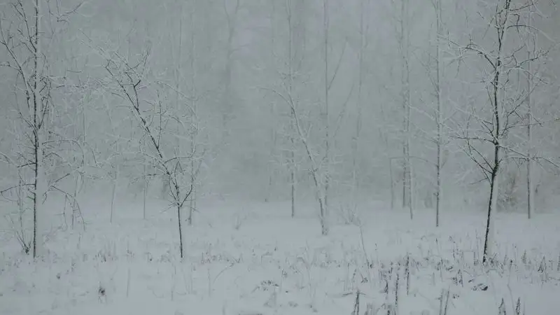 Казахстанцев ждут холодные выходные