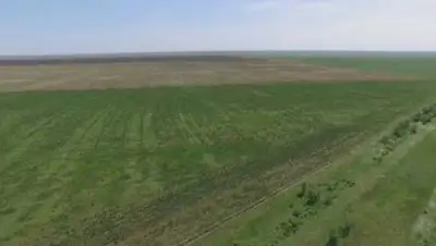 Пресс-служба акима Туркестанской области, фото - Новости Zakon.kz от 17.02.2021 13:21