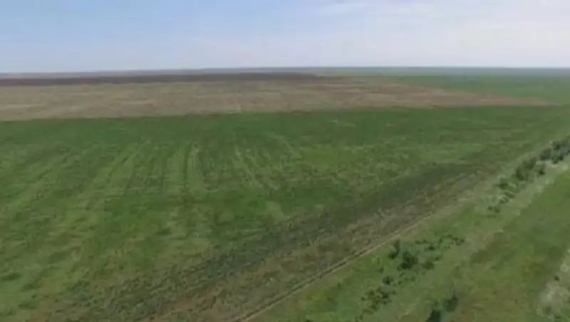 В Мактааральском районе неосвоенные земли возвращают в госсобственность