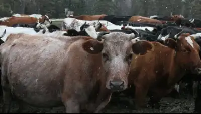 Zakon.kz, фото - Новости Zakon.kz от 26.05.2015 01:30