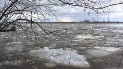 azattyq-ruhy, фото - Новости Zakon.kz от 16.04.2021 08:47