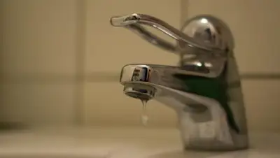 pxhere.com, фото - Новости Zakon.kz от 14.10.2019 17:53