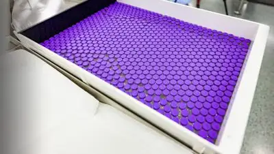 pfizer.com, фото - Новости Zakon.kz от 06.10.2021 18:28