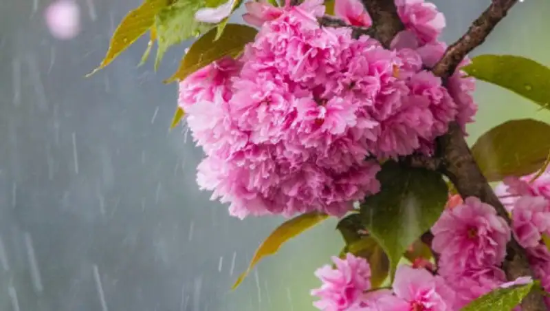 Усиление ветра, гроза и град ожидает казахстанцев 11 мая