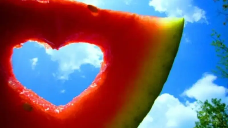 В Алматы впервые пройдет Арбузный фестиваль