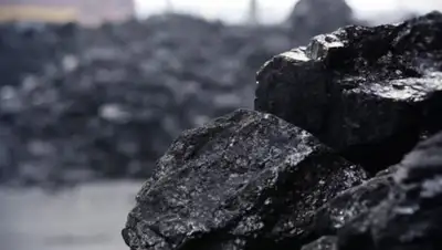 из открытых источников, фото - Новости Zakon.kz от 07.02.2018 16:26