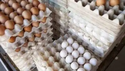 aqmolanews, фото - Новости Zakon.kz от 06.02.2021 06:01