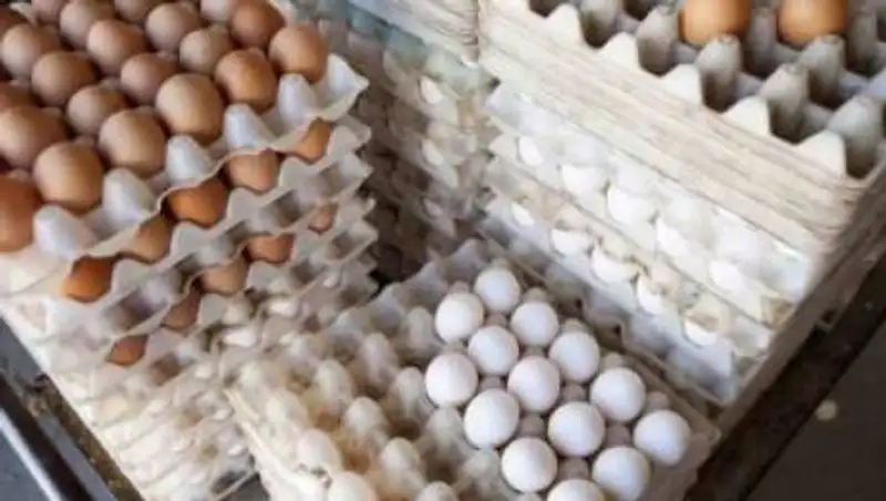 Стоимость яиц необоснованно завышена – Минсельхоз РК