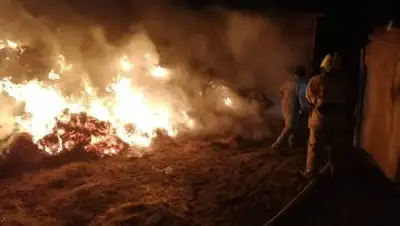 МЧС РК, фото - Новости Zakon.kz от 06.10.2021 10:36