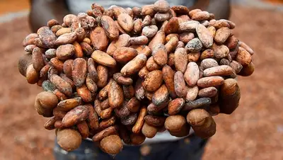 Zakon.kz, фото - Новости Zakon.kz от 26.02.2016 21:25