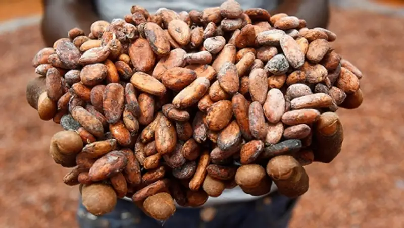 ЕЭК обнуляет ввозную пошлину на какао-продукты до конца 2017 г.