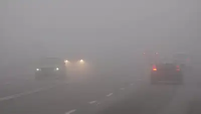 24kz, фото - Новости Zakon.kz от 01.03.2020 06:08