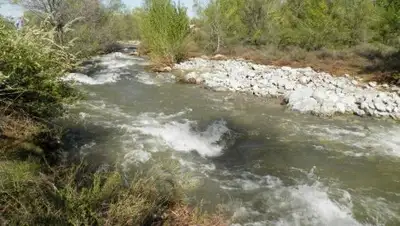 Zakon.kz, фото - Новости Zakon.kz от 10.05.2017 22:18