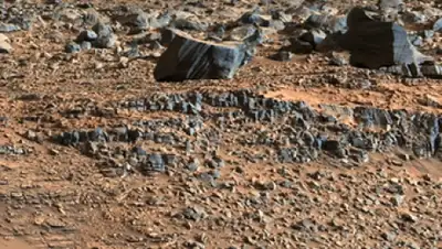 Zakon.kz, фото - Новости Zakon.kz от 09.12.2014 15:13