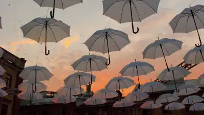 pxhere.com, фото - Новости Zakon.kz от 05.04.2020 09:30