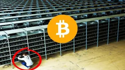 Zakon.kz, фото - Новости Zakon.kz от 06.09.2017 22:35