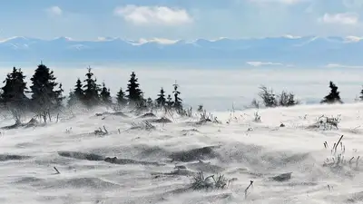 зима, фото - Новости Zakon.kz от 12.02.2023 16:34