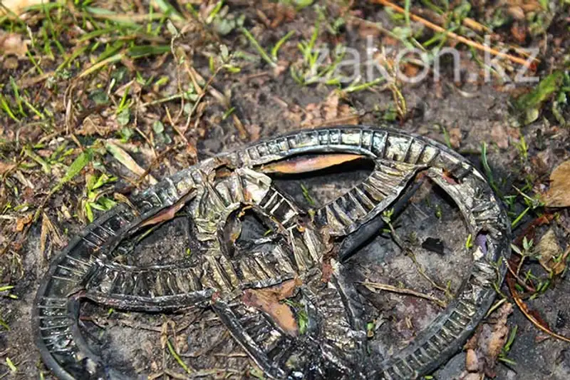Сегодня ранним утром в Алматы сгорела Тойота Венза (фото) Сегодня ранним утром в Алматы сгорела Тойота Венза (фото), фото - Новости Zakon.kz от 06.11.2013 22:52