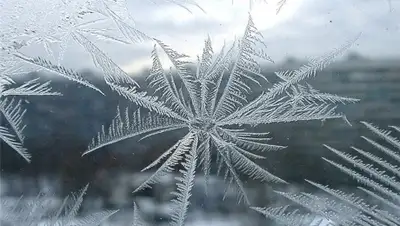 Zakon.kz, фото - Новости Zakon.kz от 20.11.2014 23:03