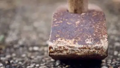 pixabay.com, фото - Новости Zakon.kz от 26.10.2021 09:47