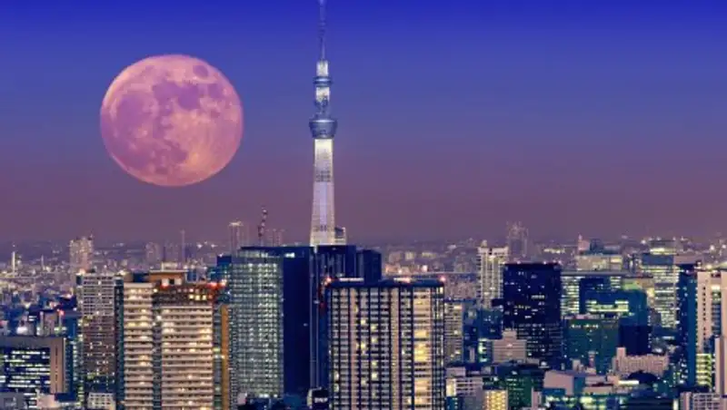 Нурсултан Назарбаев посетит Японию