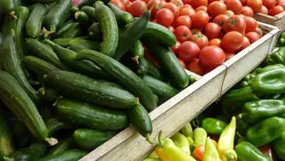 Zakon.kz, фото - Новости Zakon.kz от 21.08.2014 20:02