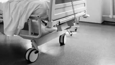 24.kz, фото - Новости Zakon.kz от 26.07.2021 09:29