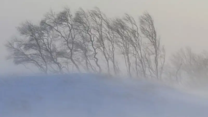 В четырех областях Казахстана закрыты дороги