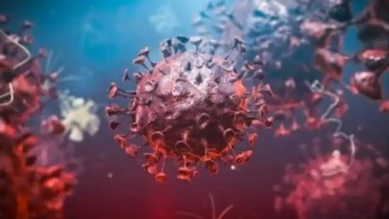 Назван наиболее живучий штамм COVID-19