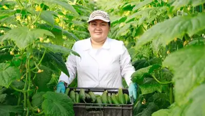 УВП Атырау, фото - Новости Zakon.kz от 03.04.2018 13:14