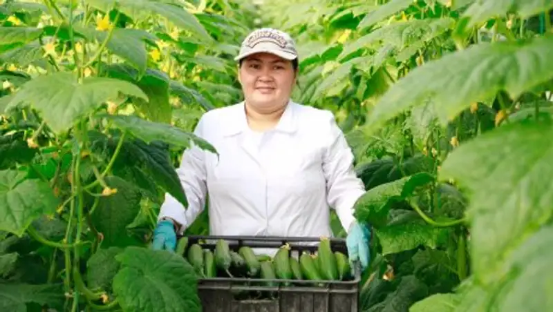 В Атырауской области увеличивается количество предпринимателей
